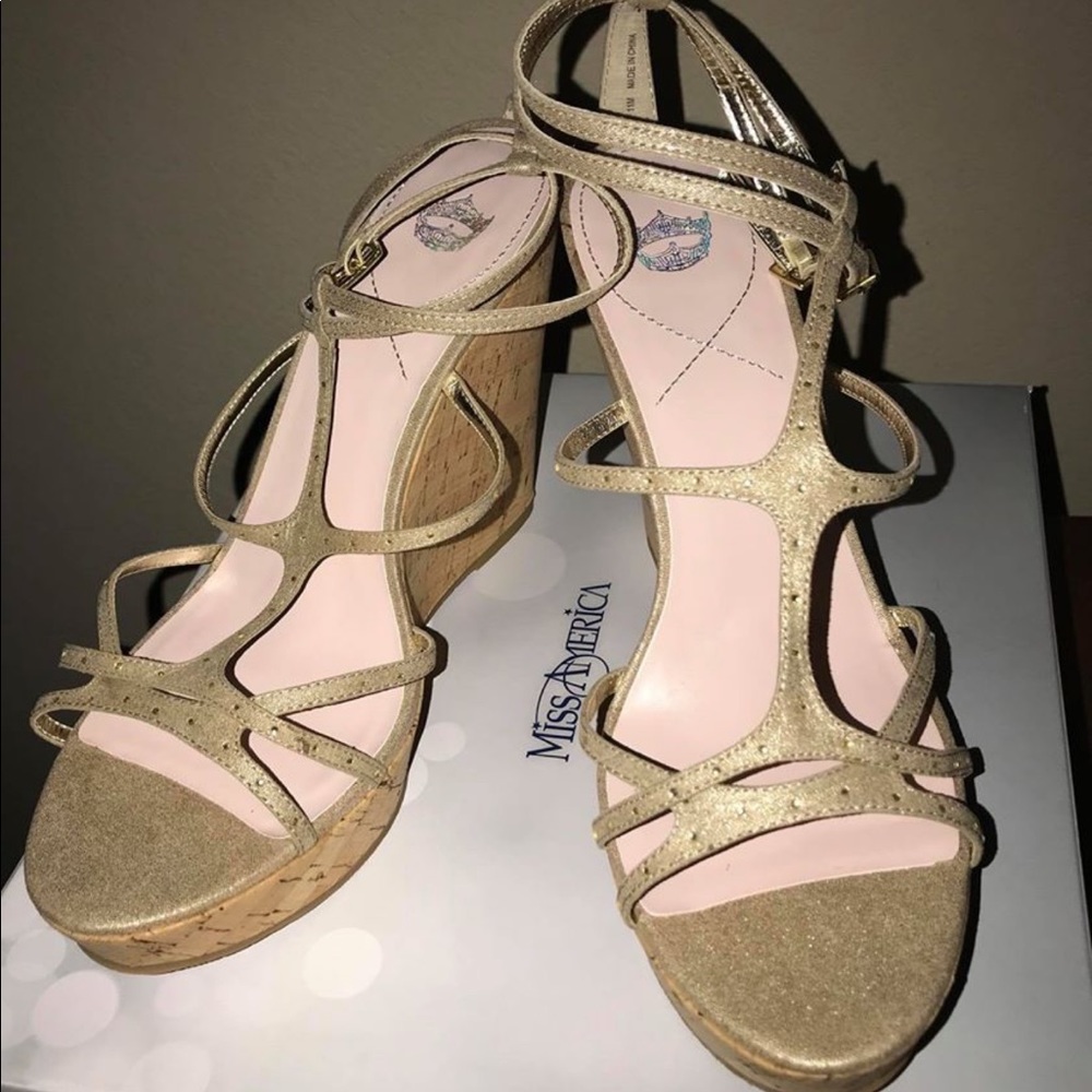 Size 11 Wedge Sandal (Brand New)